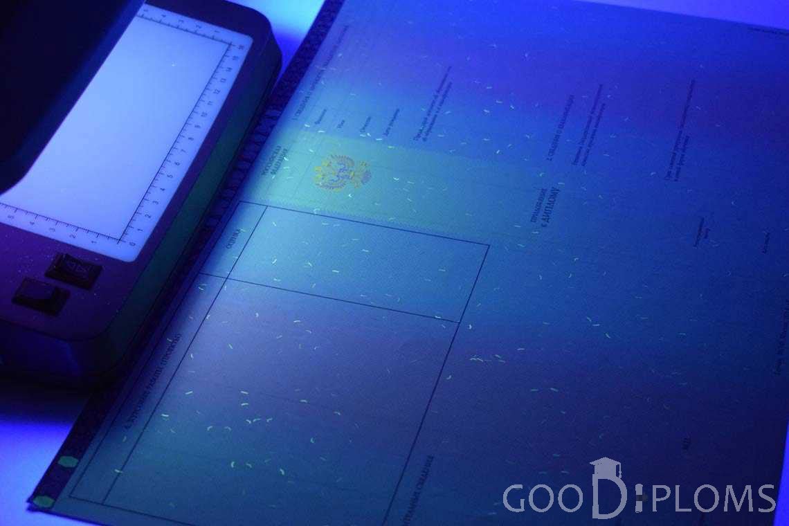 Приложение к Диплому Бакалавра с Отличием в Ультрафиолете период c 2013 по 2025 год - Харьков