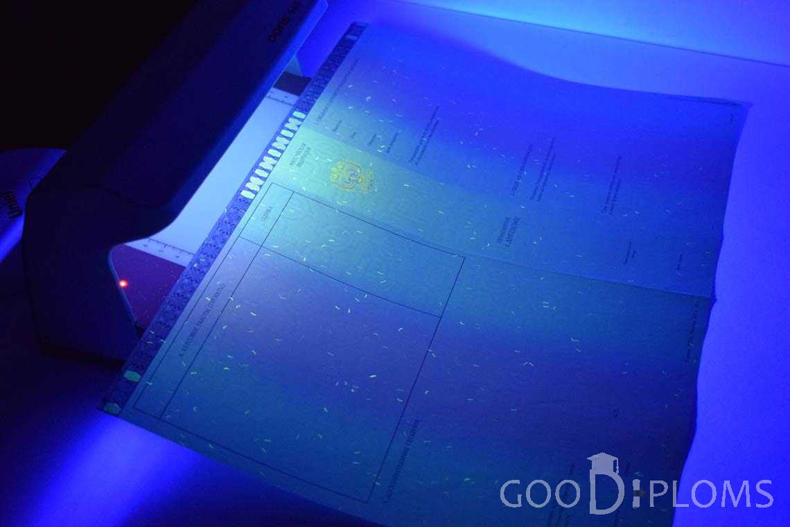 Приложение к Диплому Магистра в Ультрафиолете в период c 2014 по 2025 год - Харьков